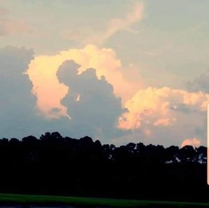 Meet your Posher, Dan